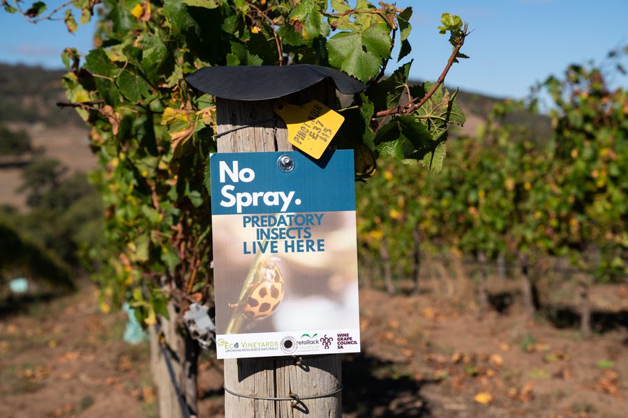 EcoVeinyards signange showcased in a winery