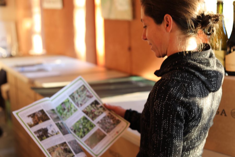 EcoVineyard participant smiling reading an EcoVineyard resource