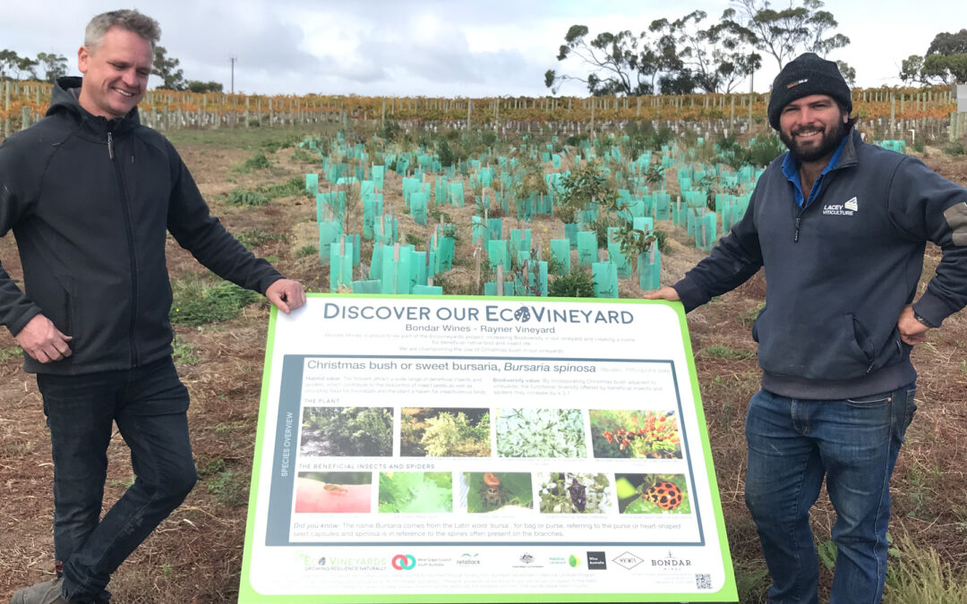 Participants standing with 'Discover our EcoVineyards' educational sign