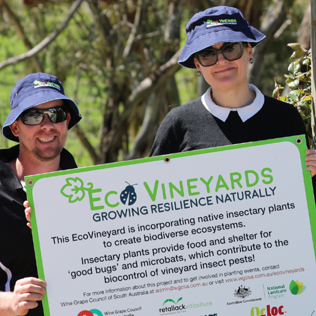 Kerri Thompson, Skillogalee Wines/Wines by KT, Clare Valley, Eco-Grower participant in the EcoVineyards project.