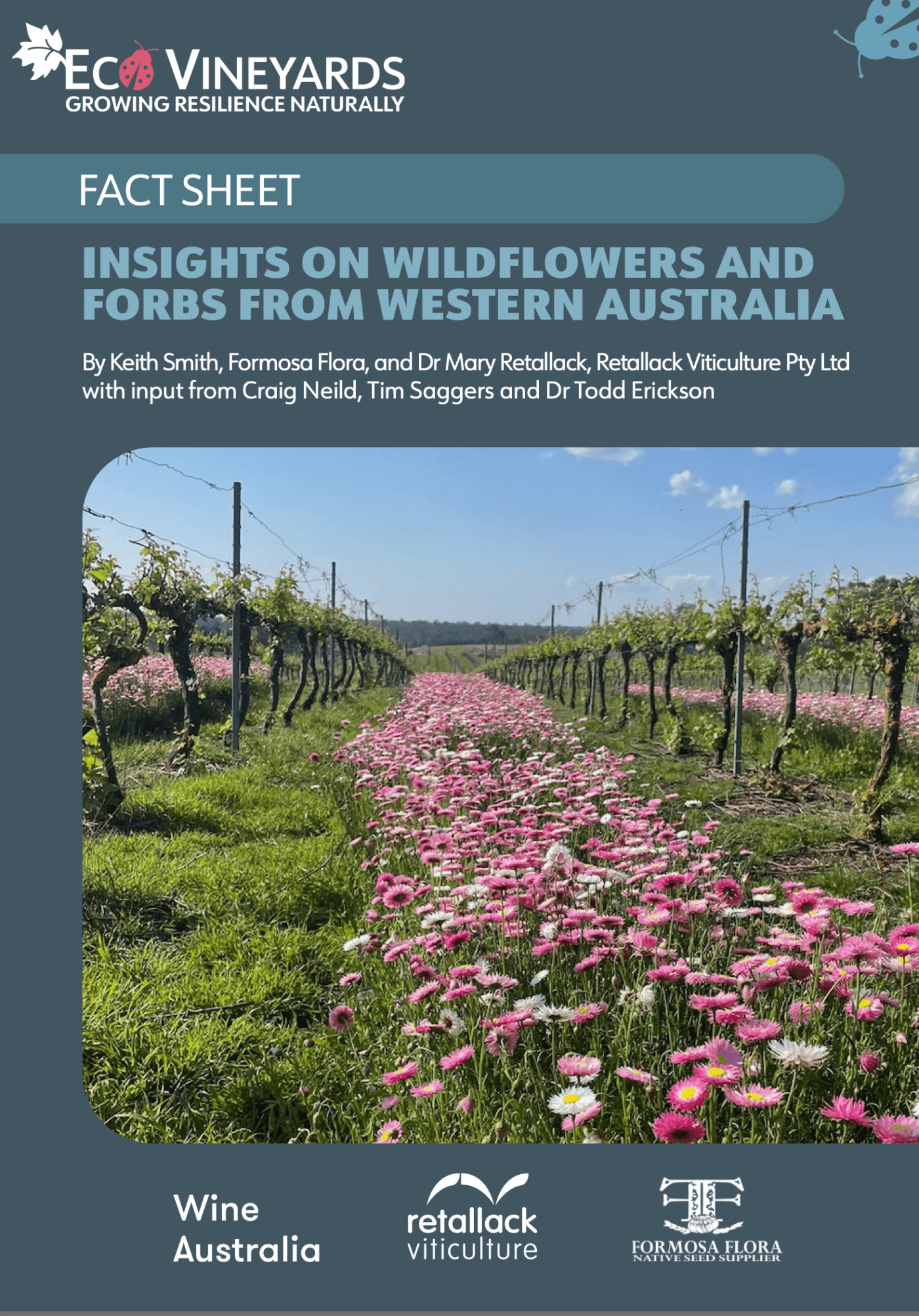 EcoVineyards Fact Sheet Ground Cover - Insights on flowers and forbs from Western Australia