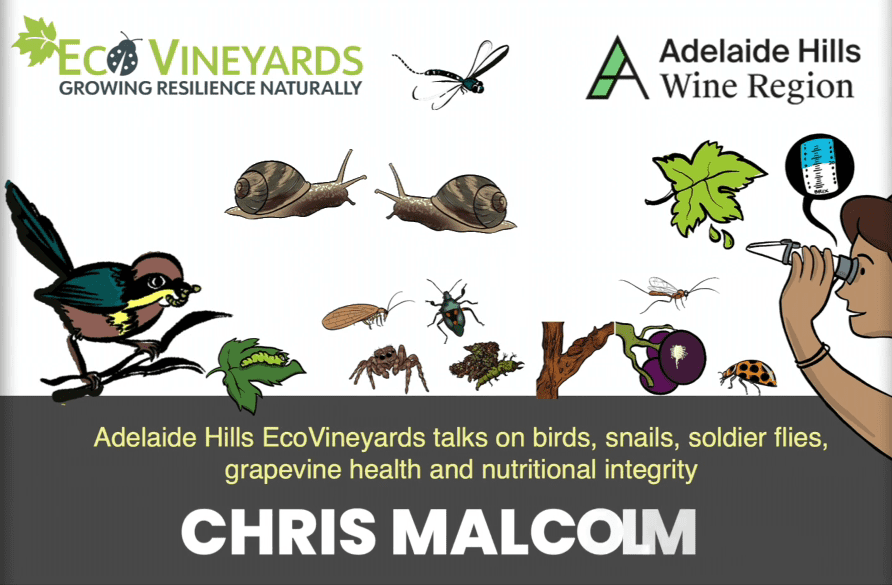 Adelaide Hills session - Chris Malcom