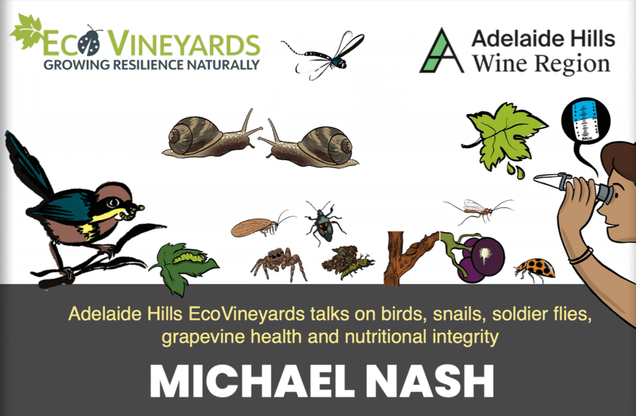 Adelaide Hills session - Michael Nash