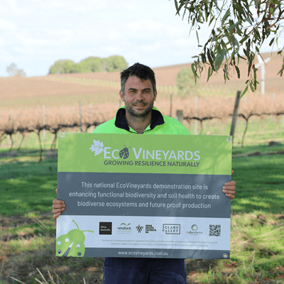 Ben Mitchell, Taylor's Wines, Clare Valley, EcoGrower participating in the EcoVineyards program