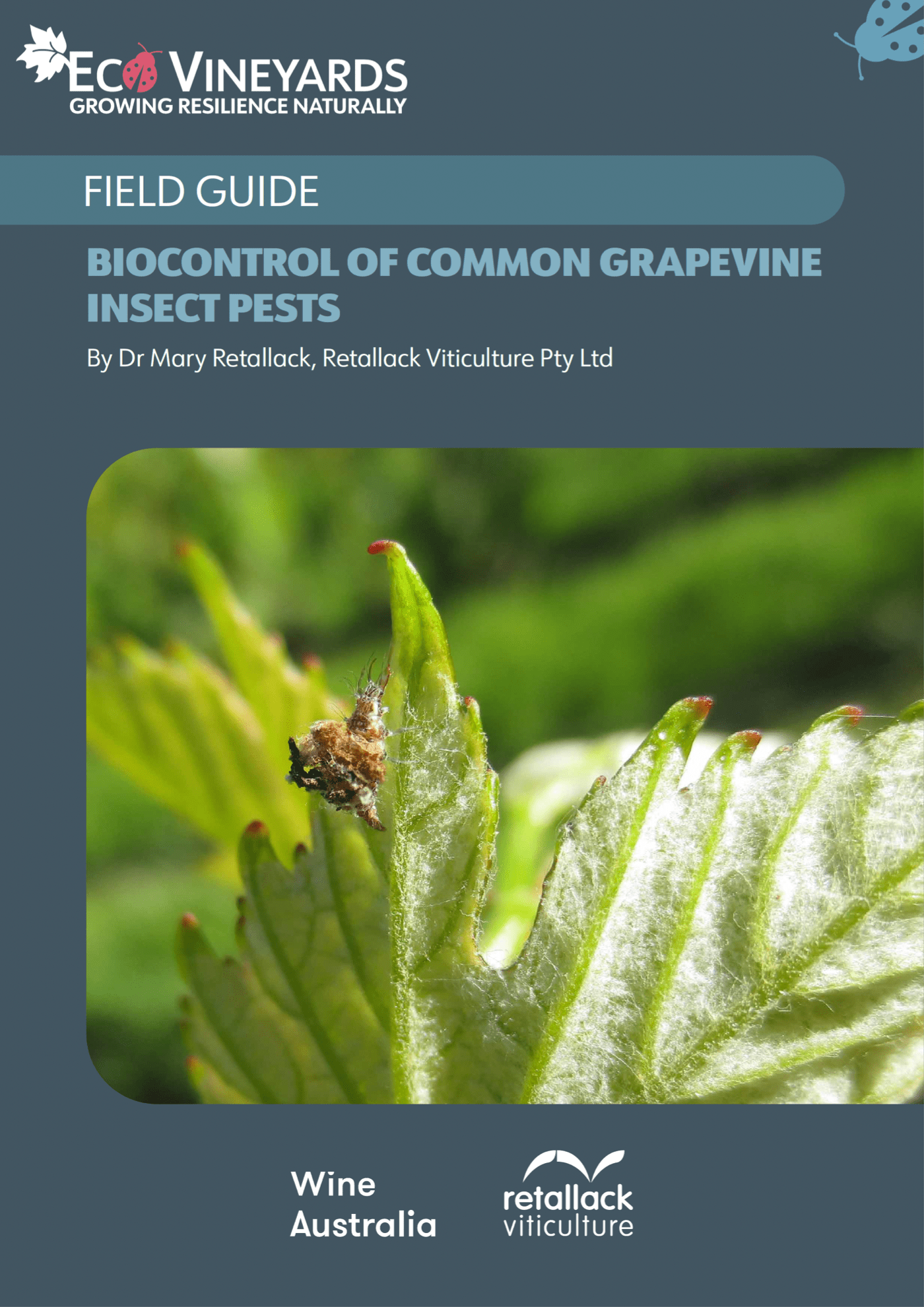 Field Guide - Biocontrol for common grapevine pests - Front page