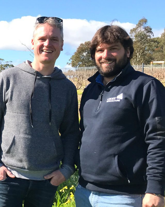 Andre Bondar, Bondar Wines, McLaren Vale, Eco-Grower participant in the EcoVineyards project.