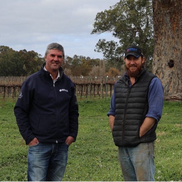 Peter Bird, Bold Vineyard, Limestone Coast, Eco-Grower participant in the EcoVineyards project.
