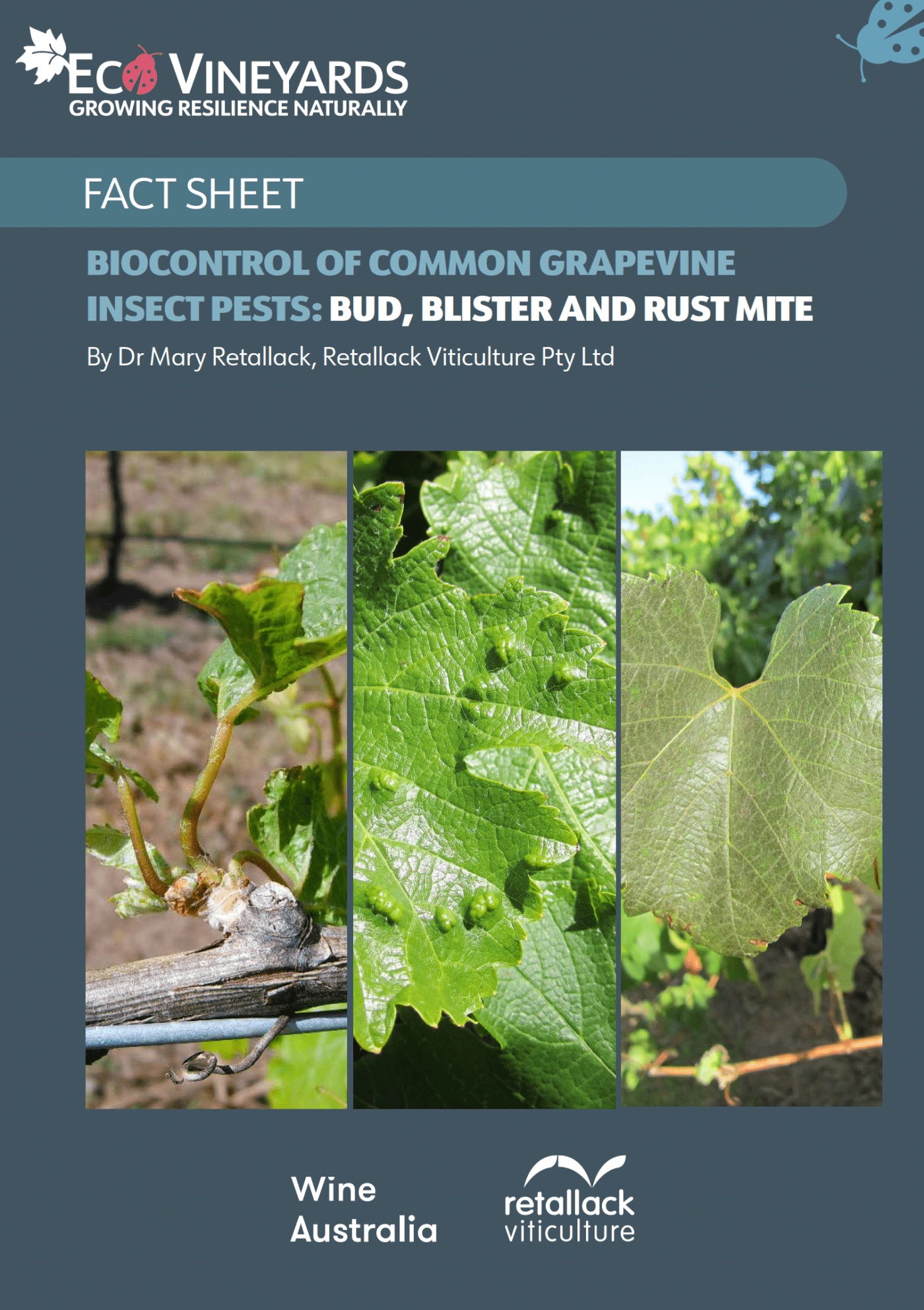 Bud, blister and rust mite front page Fact sheet