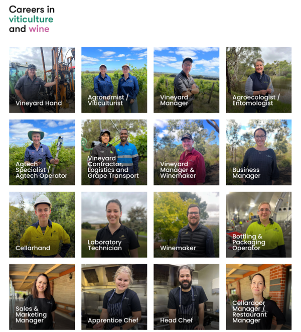 NewsWine Australia careers in viticulture and wine website