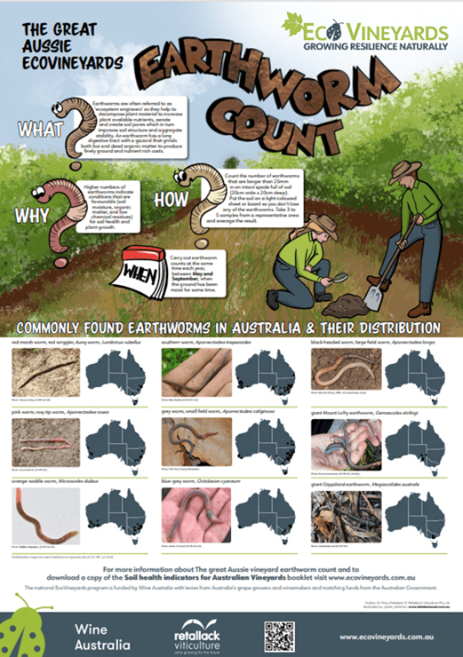 Earthworm count poster