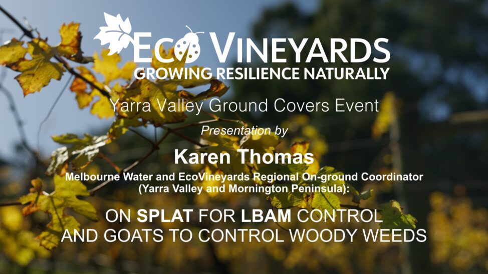 Karen Thomas, Updates on goats for woody weed control and SPLAT for LBAM control