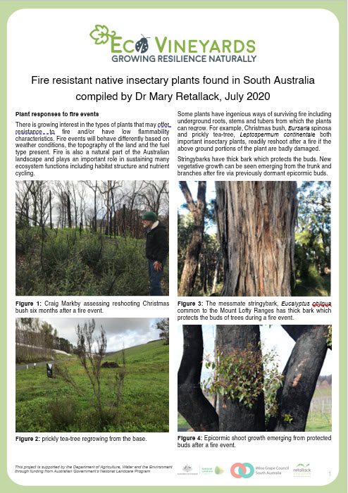 Front page image Fire resistant plant fact sheet