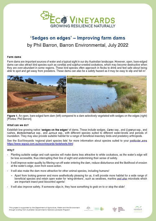 Front page of Sedges on Edges fact sheet