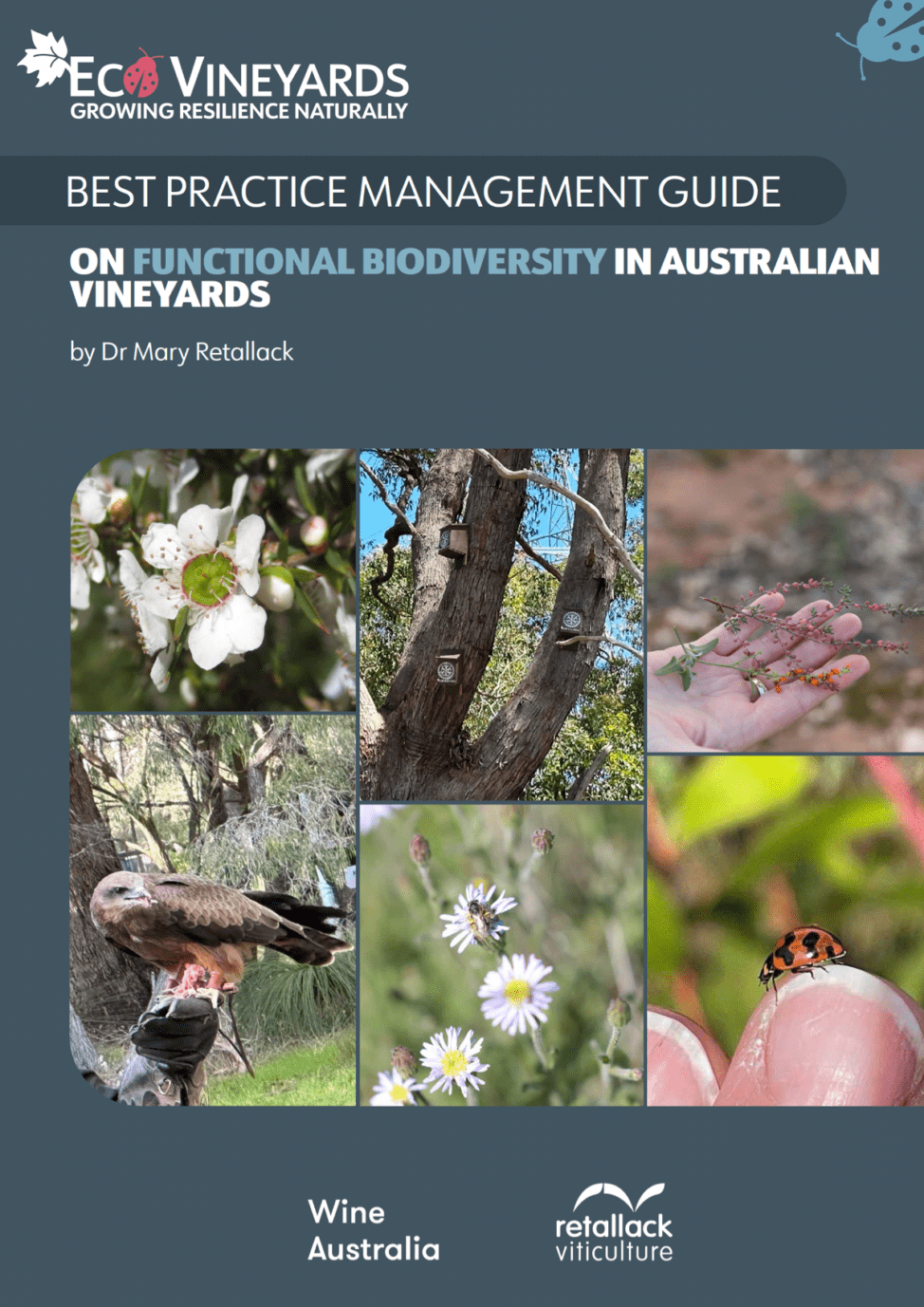 BPMG on functional biodiversity in Australian vineyards front page