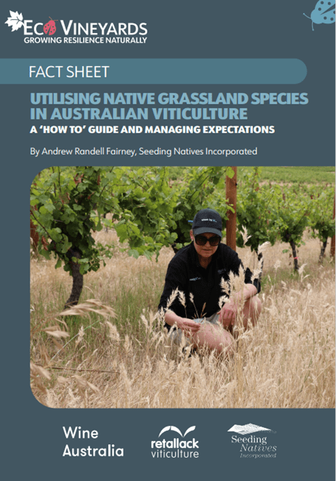 Ground covers Utilising native grassland species in Australian viticulture, a ‘how to’ guide and managing expectations