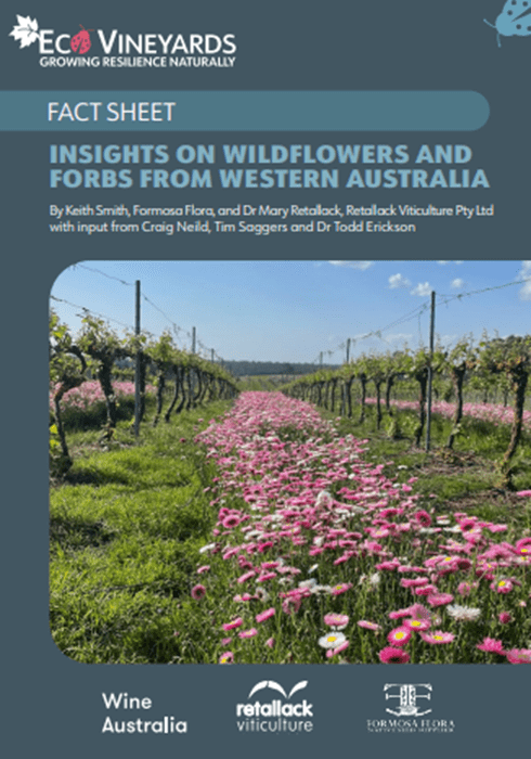 Fact Sheet, ground covers, insights on wildflowers and forbs from Western Australia