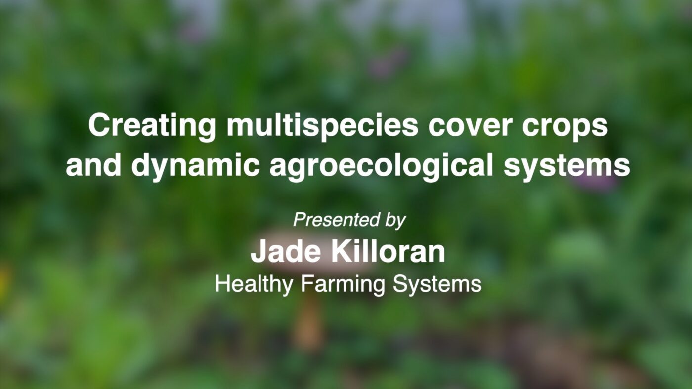 Jade Killoran, Healthy Farming Systems Establishing multispecies cover crops and creating dynamic agroecological systems