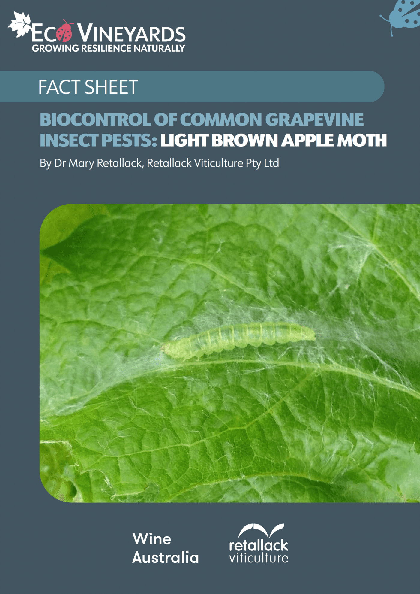 EcoVineyards fact sheet - Biocontrol of common Insect pests - LBAM cover page