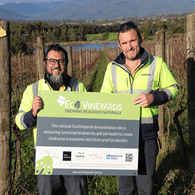 Michael Griffith, Domaine Chandon Australia, Yarra Valley, EcoGrower participating in the EcoVineyards program