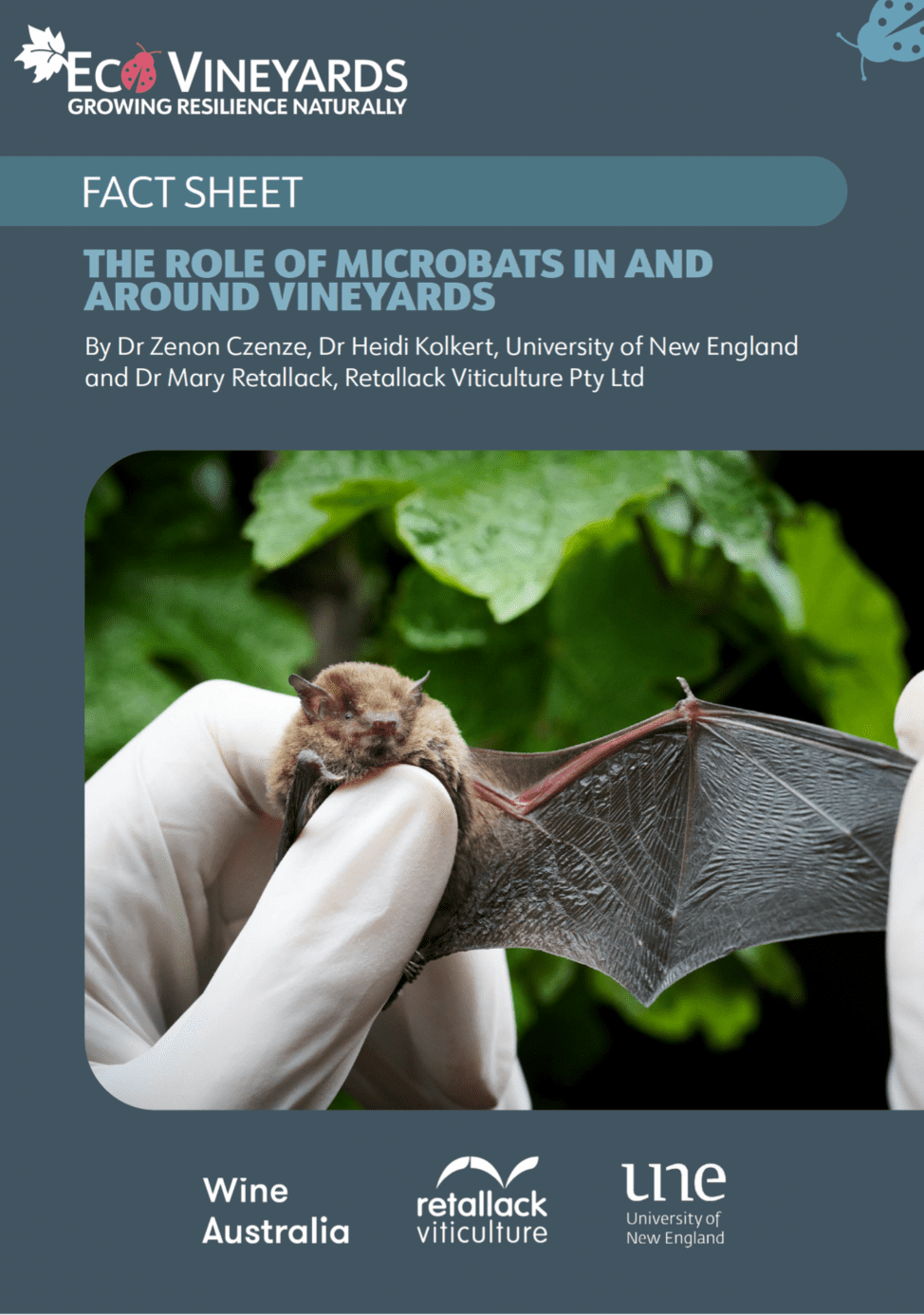 EcoVineyards fact sheet - The role of microbats in and around vineyards cover page