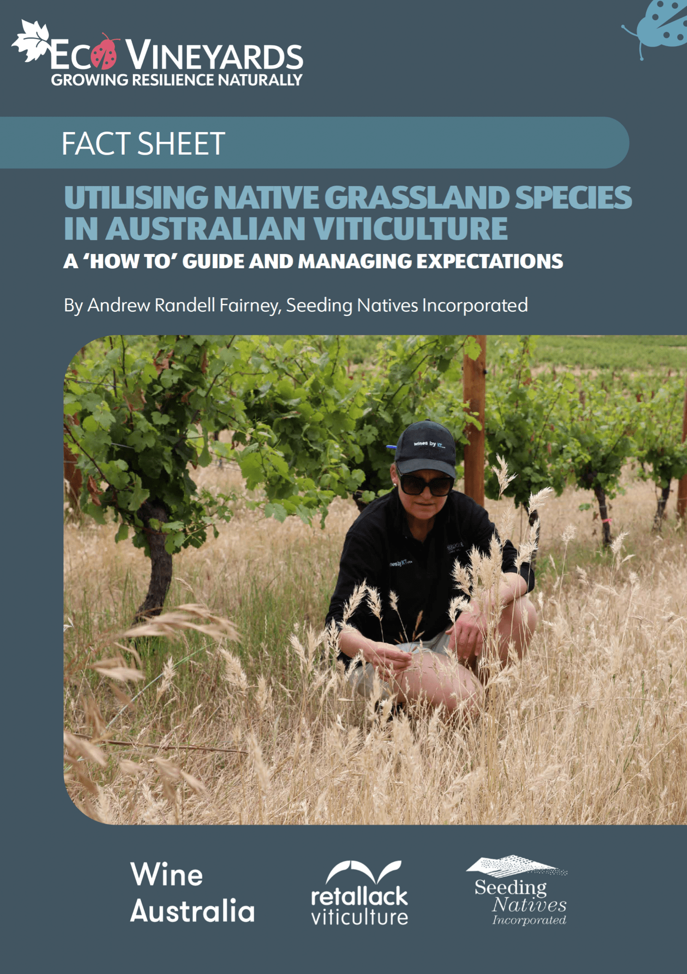 Utilising native grassland species in Australian Viticulture front page