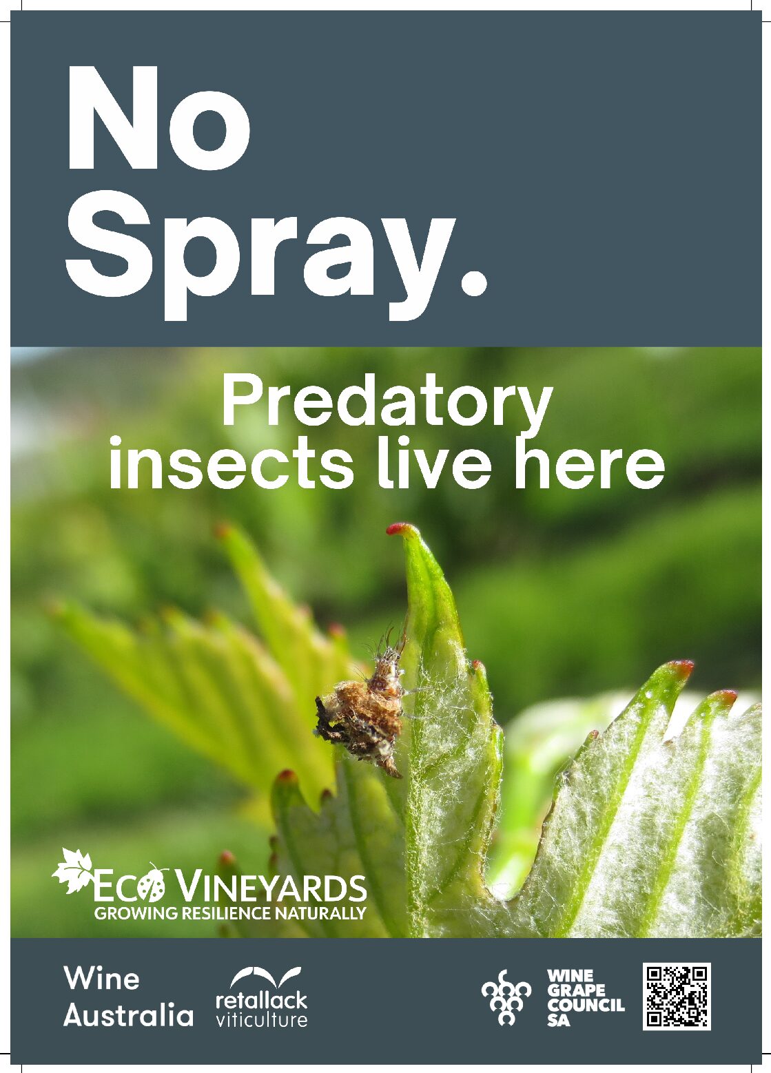 No spray sign pre order ecovineyards