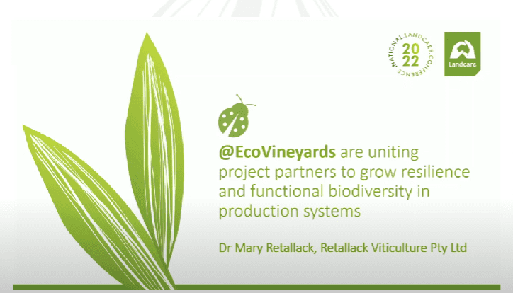 EcoVineyards Are Uniting Project Partners to Grow Resilience and Functional Biodiversity