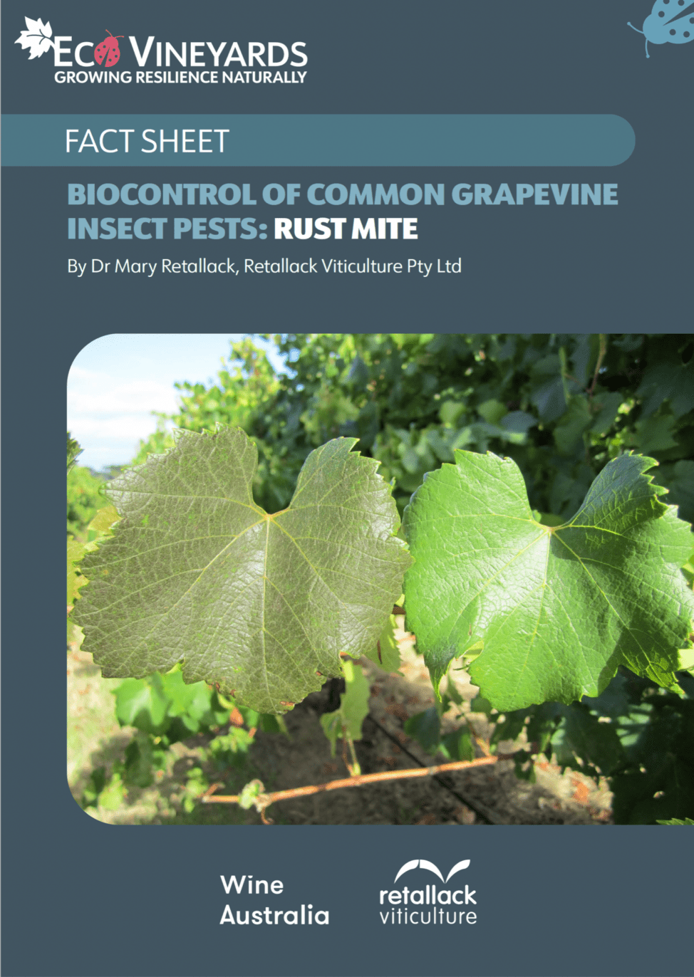 EcoVineyards fact sheet - Biocontrol of common Insect pests - rust mite cover page