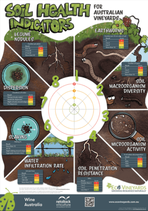 Soil Health Poster for website