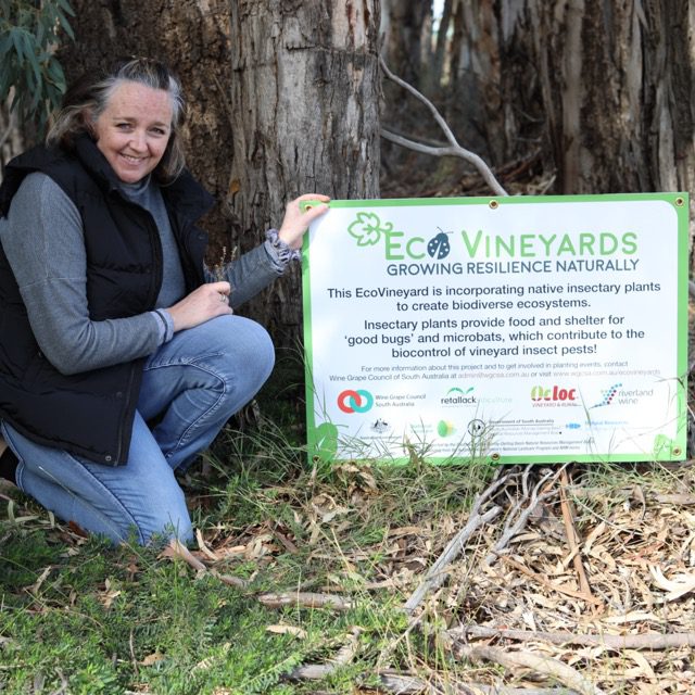 Sheridan Alm, Starrs Reach Vineyard, Riverland, Eco-Grower participant in the EcoVineyards project.