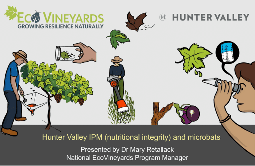 Video IPM Hunter Valley