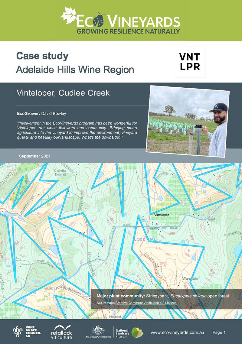 Front page of Vinteloper Case Study