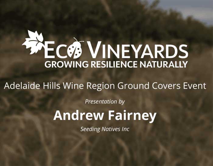 Andrew Fairney EcoVineyards video presentation