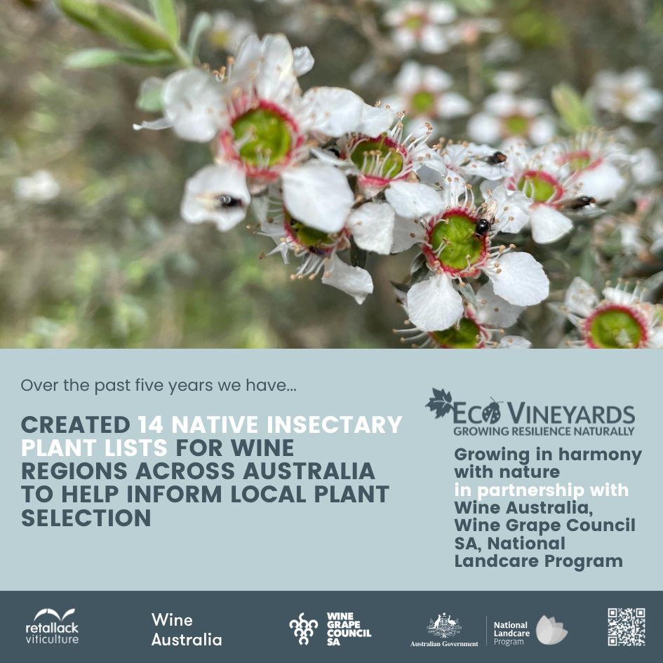 EcoVineyards 5 year achievements slide 11