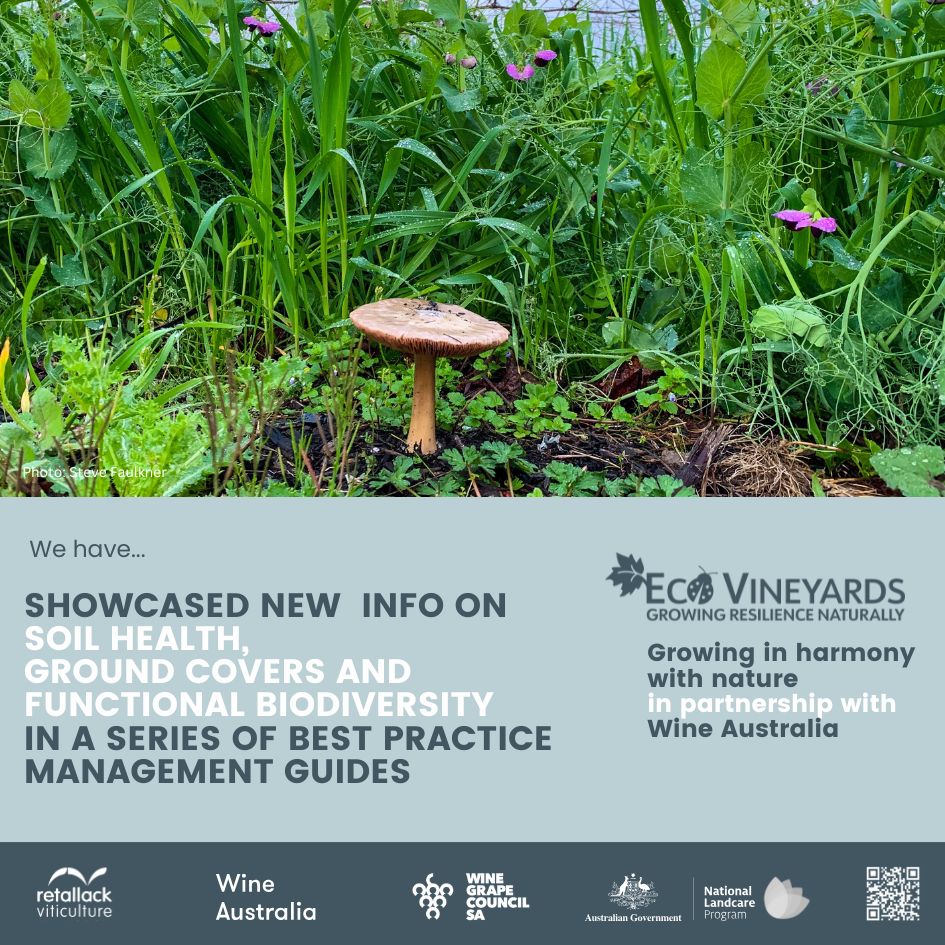 EcoVineyards 5 year achievements slide 12