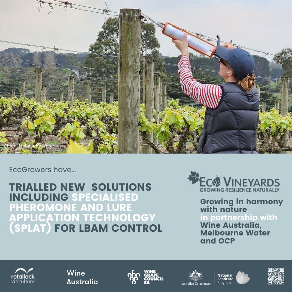 EcoVineyards 5 year achievements slide 15