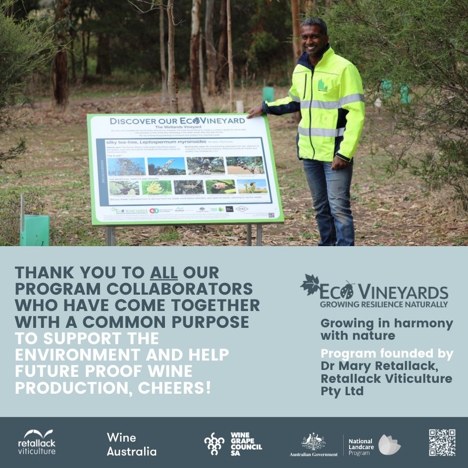 EcoVineyards 5 year achievements slide 19