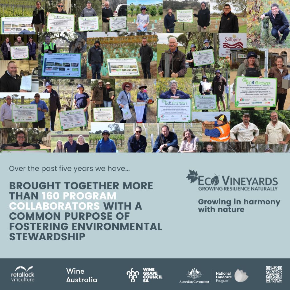 EcoVineyards 5 year achievements slide 3