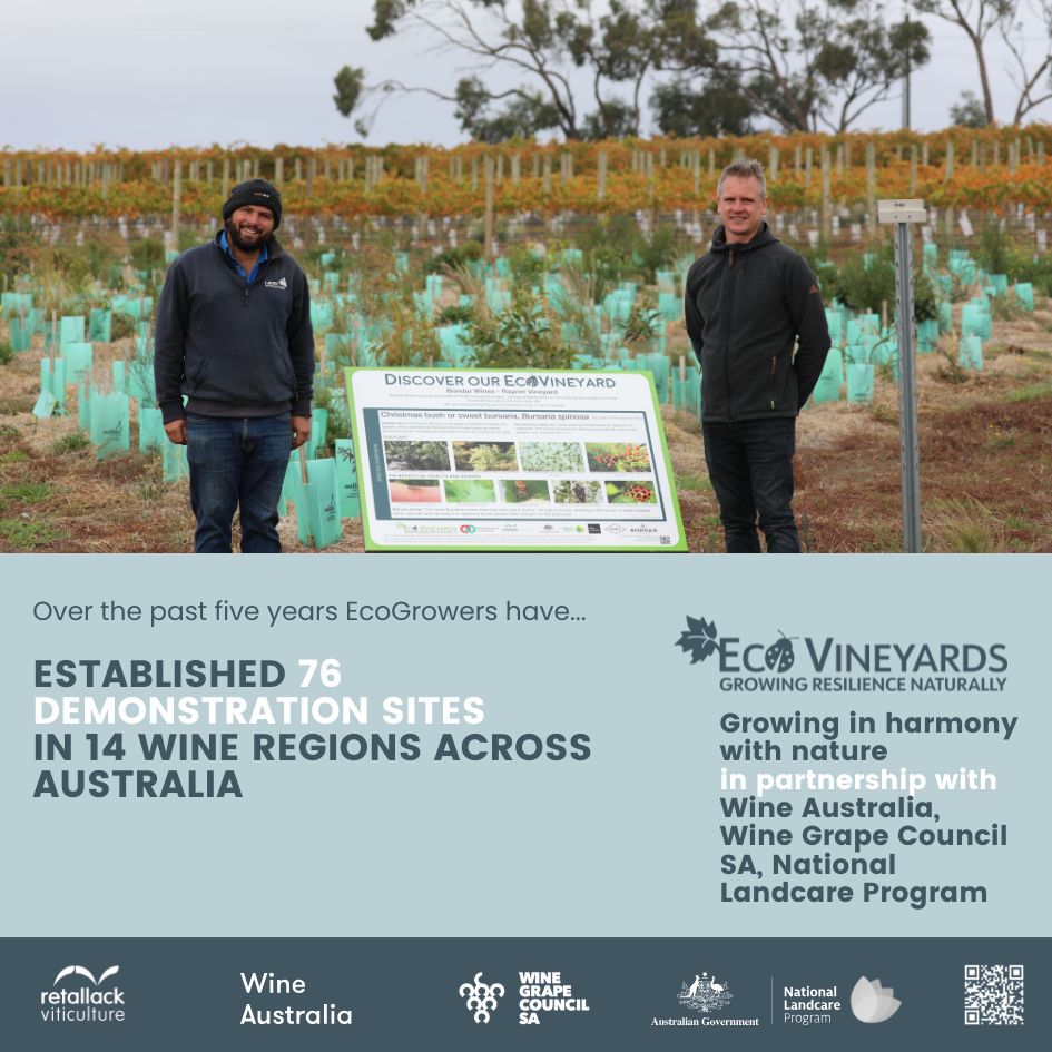 EcoVineyards 5 year achievements slide 4