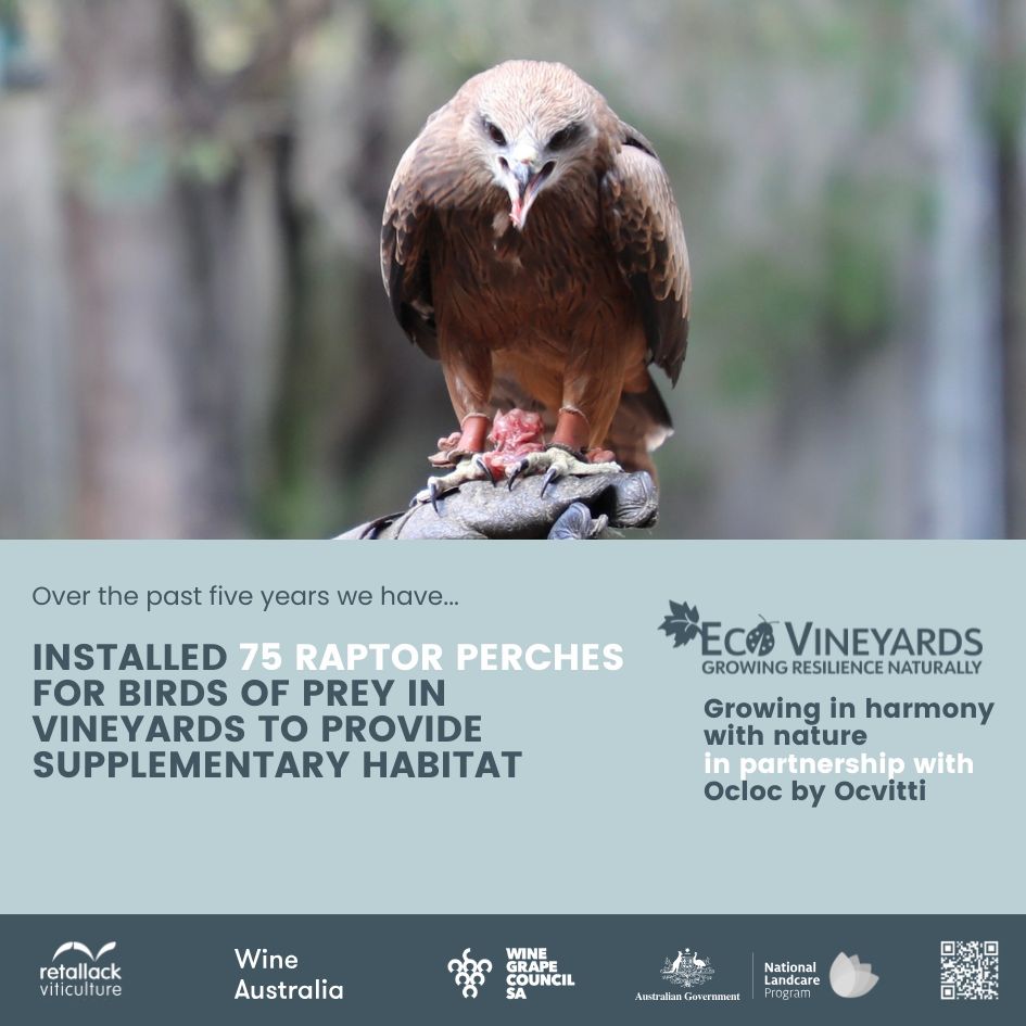 EcoVineyards 5 year achievements slide 9