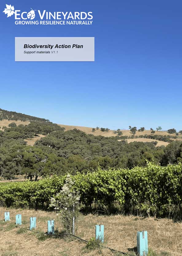 EcoVineyards Biodiversity Action Plan cover page