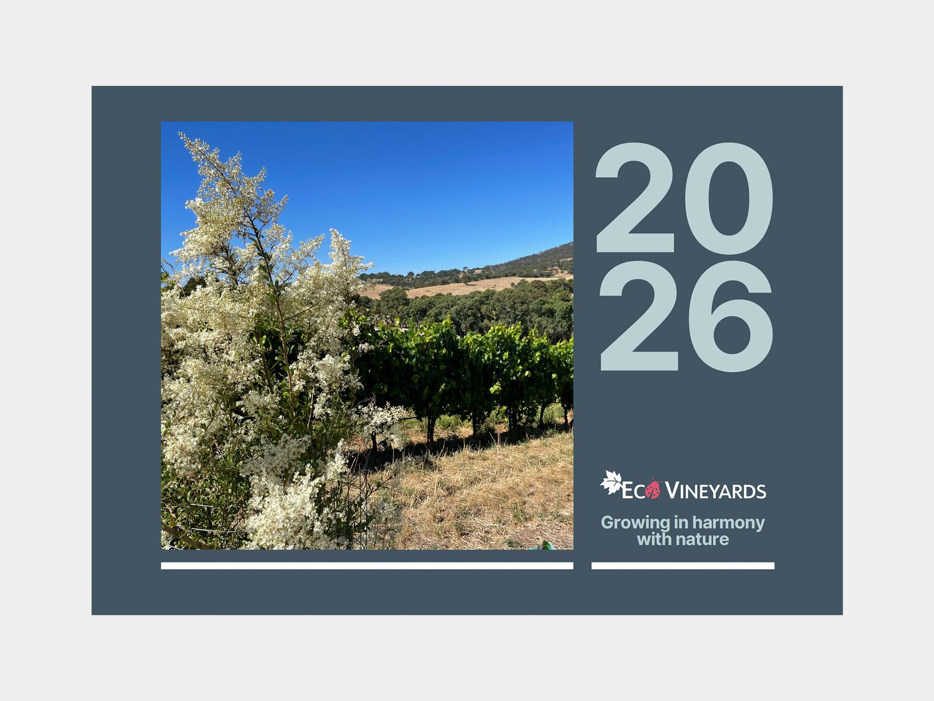 2026 EcoVineyards Calendar cover - grey background