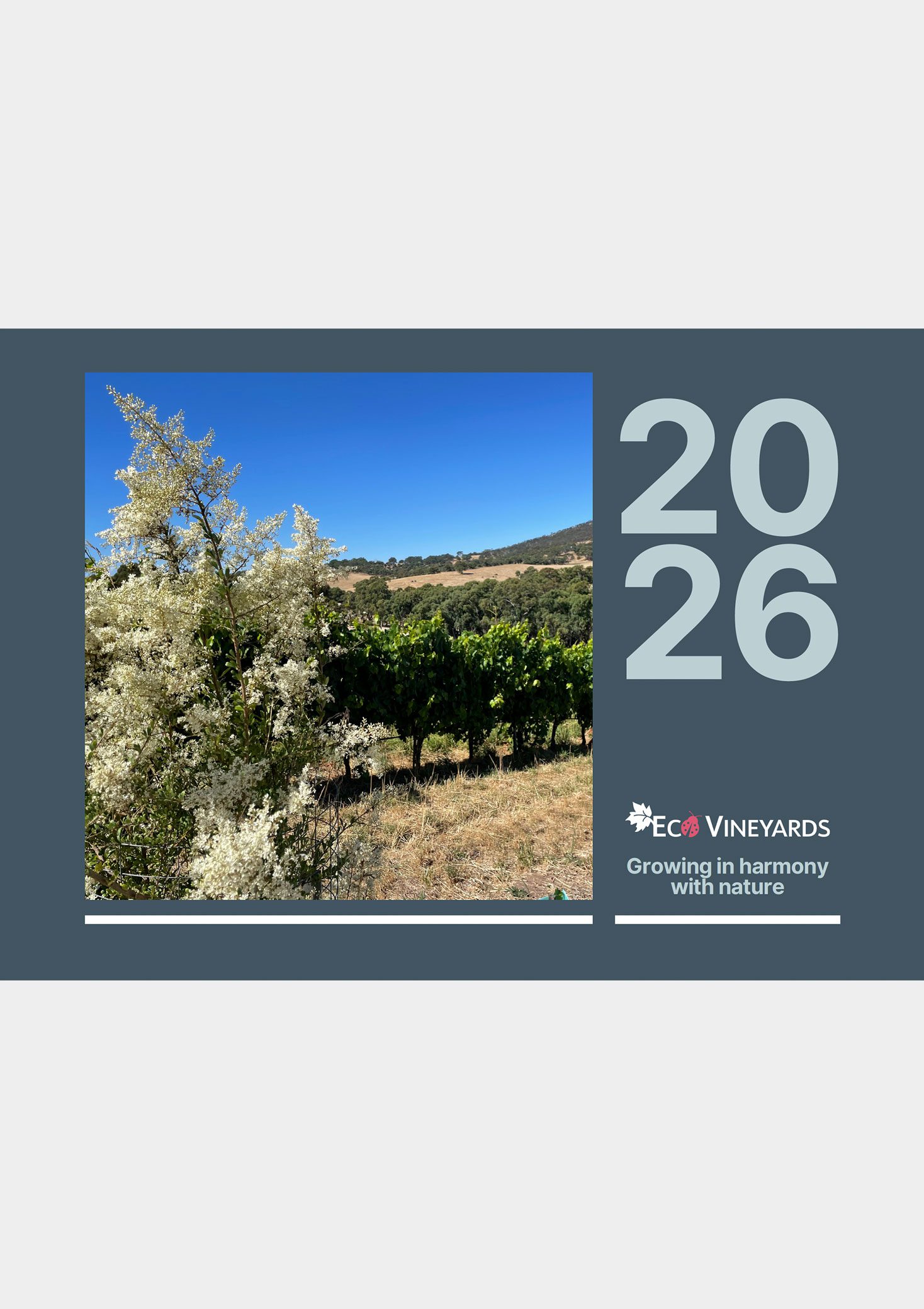 2026 EcoVineyards Calendar cover - grey background