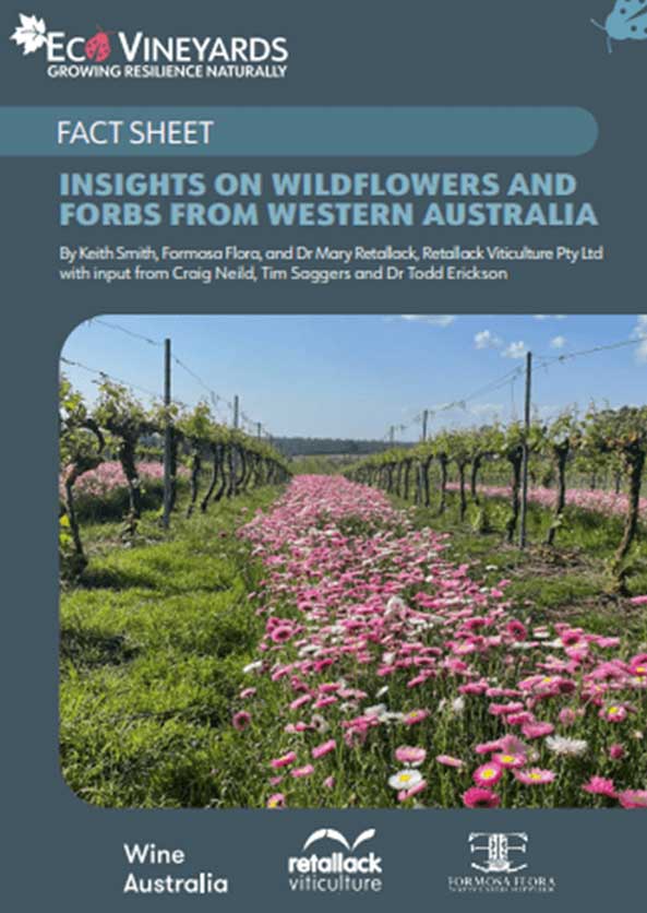 EcoVineyards fact sheet cover page - Insights on wildflowers and forbs from WA