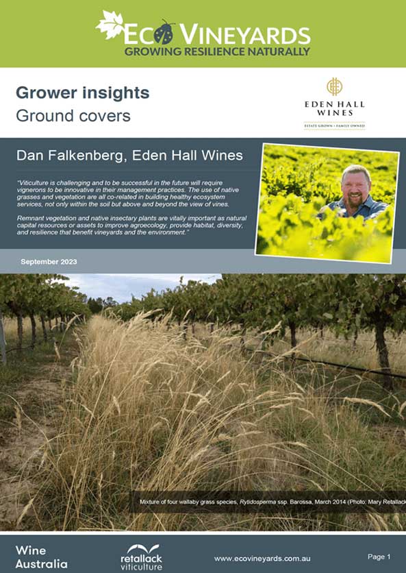 EcoVineyards grower insight cover page ground covers