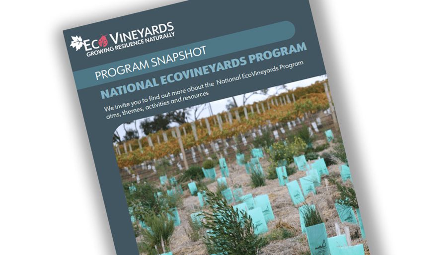EcoVineyards image of-the Program snapshot