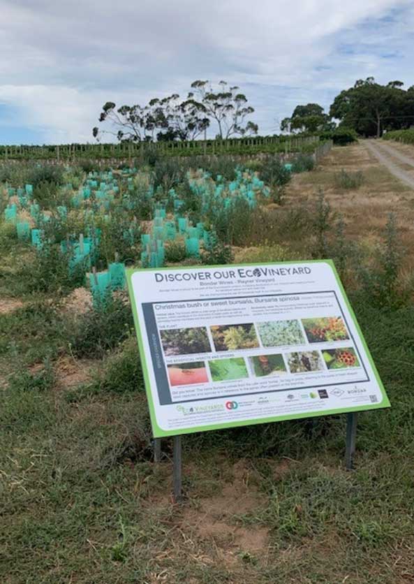 EcoVineyards signage installed at winery