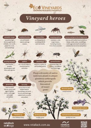 EcoVineyards Vineyard Heroes poster