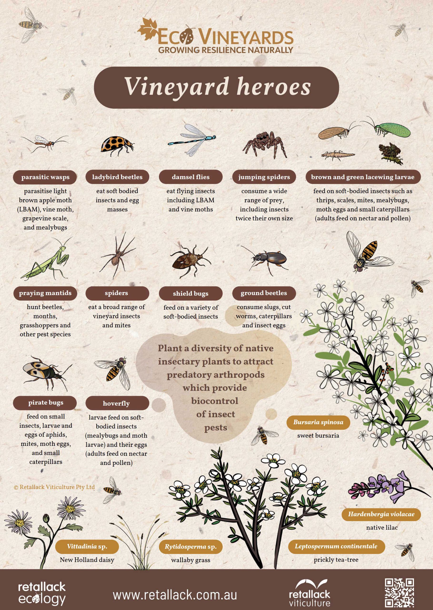 EcoVineyards Vineyard Heroes poster