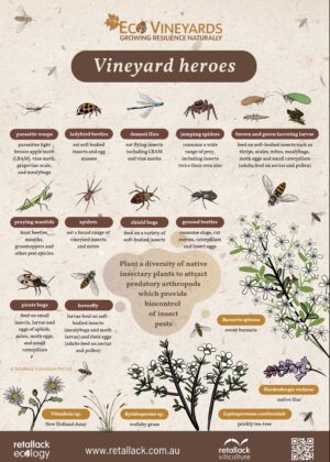 EcoVineyards Vineyard Heroes poster